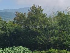 Дом в деревне с садом