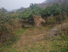 Участок возле трассы (с ветхим зданием)