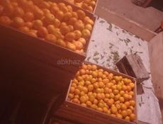 Продам мандарин перебран