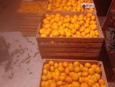 Продам мандарин перебран