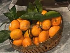 Мандарины. 🍊 Читать внимательно. ☝️