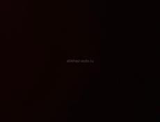 Собираем мандарины 