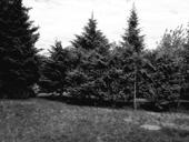 Центр Турбазы. Дорого. 