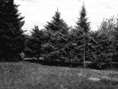 Центр Турбазы. Дорого. 