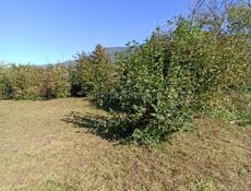 Продается участок 18 соток 