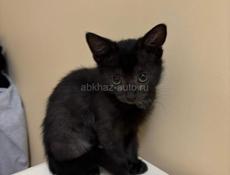 Отдаем малыша в добрые руки 🥰