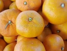 Ищу работу сбор мандарин