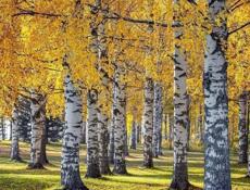 Сдам жилье рабочим без вредных привычек 