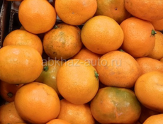 Пойдём собирать мандарины