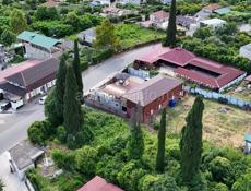 Цандрипш 10.5 соток