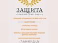 Юридическая фирма «Защита»