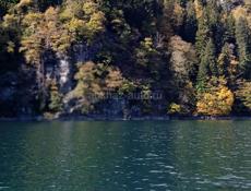 ПОЙДЁМ СБОР МАНДАРИНЫ