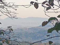 Сниму Дом или Присматрю за вашем Домом 