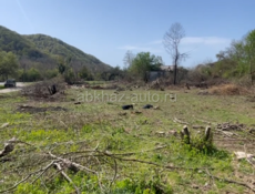 Гектар возле Бзыбской реки 