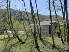 Гектар возле Бзыбской реки 