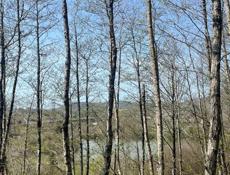 Гектар возле Бзыбской реки 