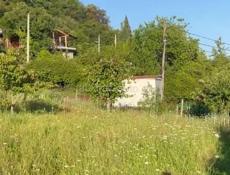 Золотой кусочек 