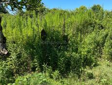 Гулрыпш! Земельный участок! 