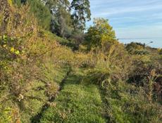 На покос травы 1 чел