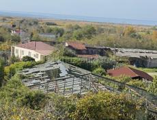 Лимонарий каркасный