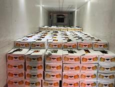 Покупаю мандарины 