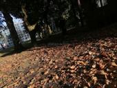 Пойдём на переборку 