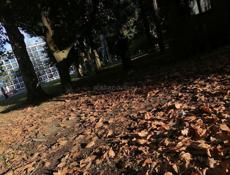 Пойдём на переборку 