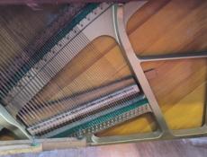 Пианино scholze