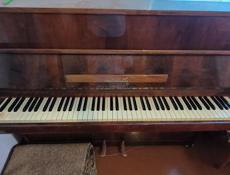 Пианино scholze