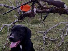 Дрова на заказ ✅