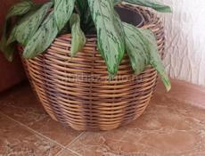 Кашпо из ротанга 