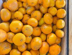 МАНДРИНЫ под сок и варенье 