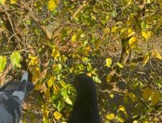 Продаю гараж