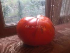 Куплю хурму, плоскую ,бычье сердце  и королек