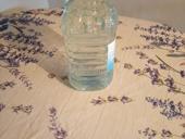 Продаю домашнию чачу 