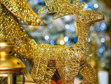 Аниматоры/актеры в курортный отель