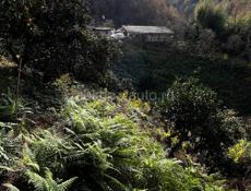 Сборщики мандарин 🍊 