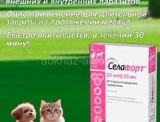 Отдам за свою цену