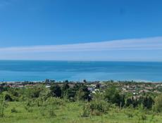 ГАГРА , ЦАНДРИПШ. НАПРОТИВ БАРАХОЛКИ