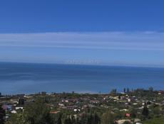 ГАГРА , ЦАНДРИПШ. НАПРОТИВ БАРАХОЛКИ