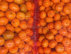 Продам мандарины