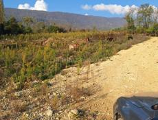 Уникальное Предложение