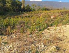 Уникальное Предложение