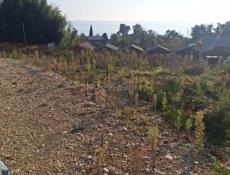 Уникальное Предложение