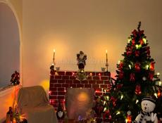 Новогодние фотосессии-2000т.р. 