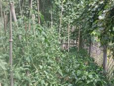 Продажа дома 