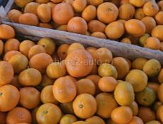 Продам мандарины 