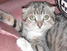 Я Няня ищу работу