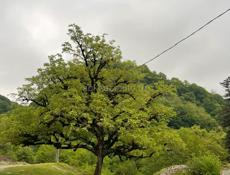 Продается участок 