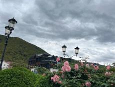 СДАЁТСЯ В АРЕНДУ 